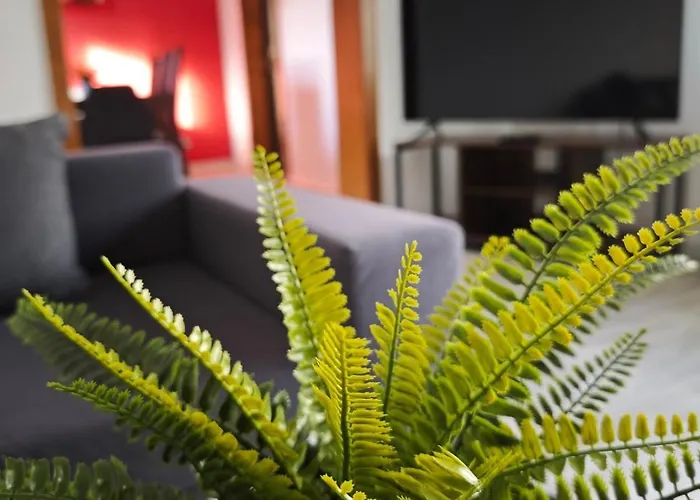 度假居 Fuer Max 10 Personen Und 2 Hunde Mit Bauernhof Feeling